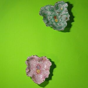 Floral Green and Pink Decorative Plates
